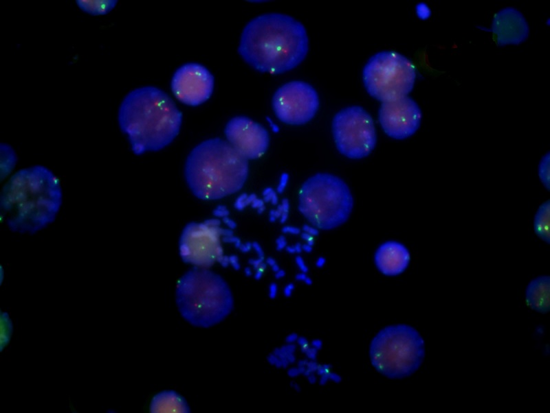 癌症研究_11.jpg