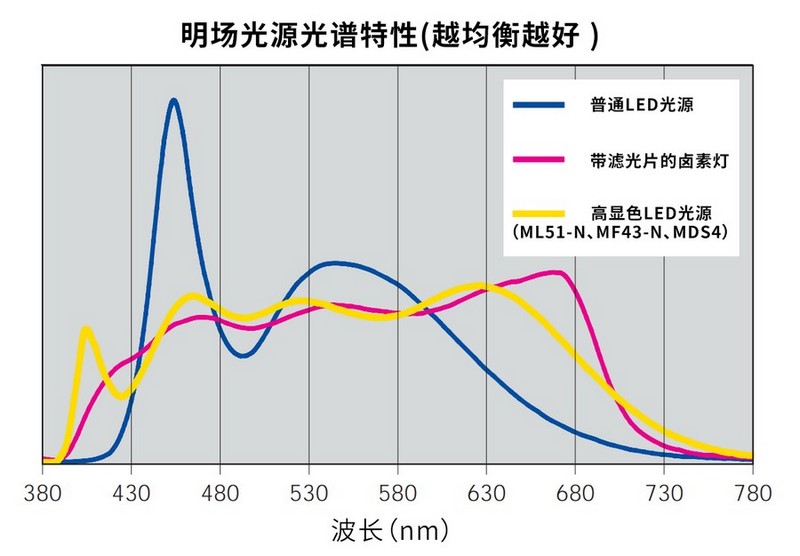 病理_11.jpg