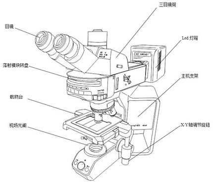 202108241023543240.jpg