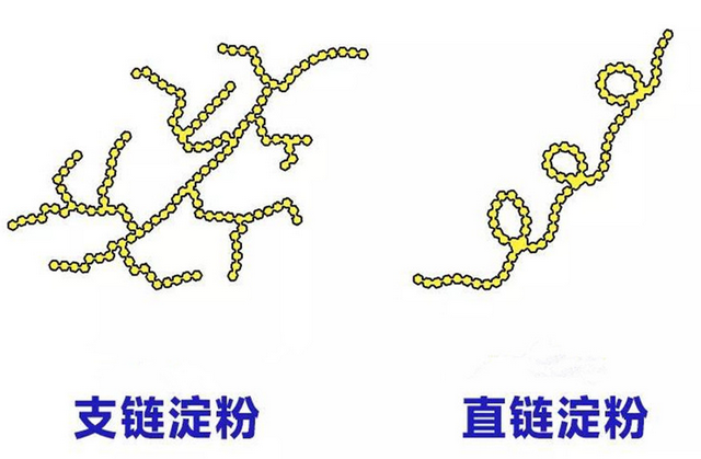 202407101121062006.png